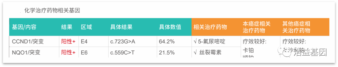 化疗药物相关基因
