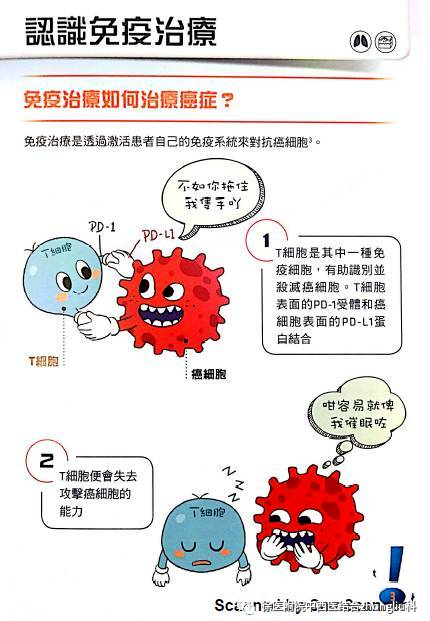 免疫治疗是如何治疗癌症的