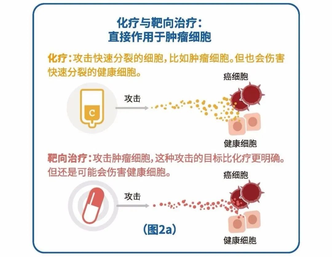 化疗和靶向治疗的原理