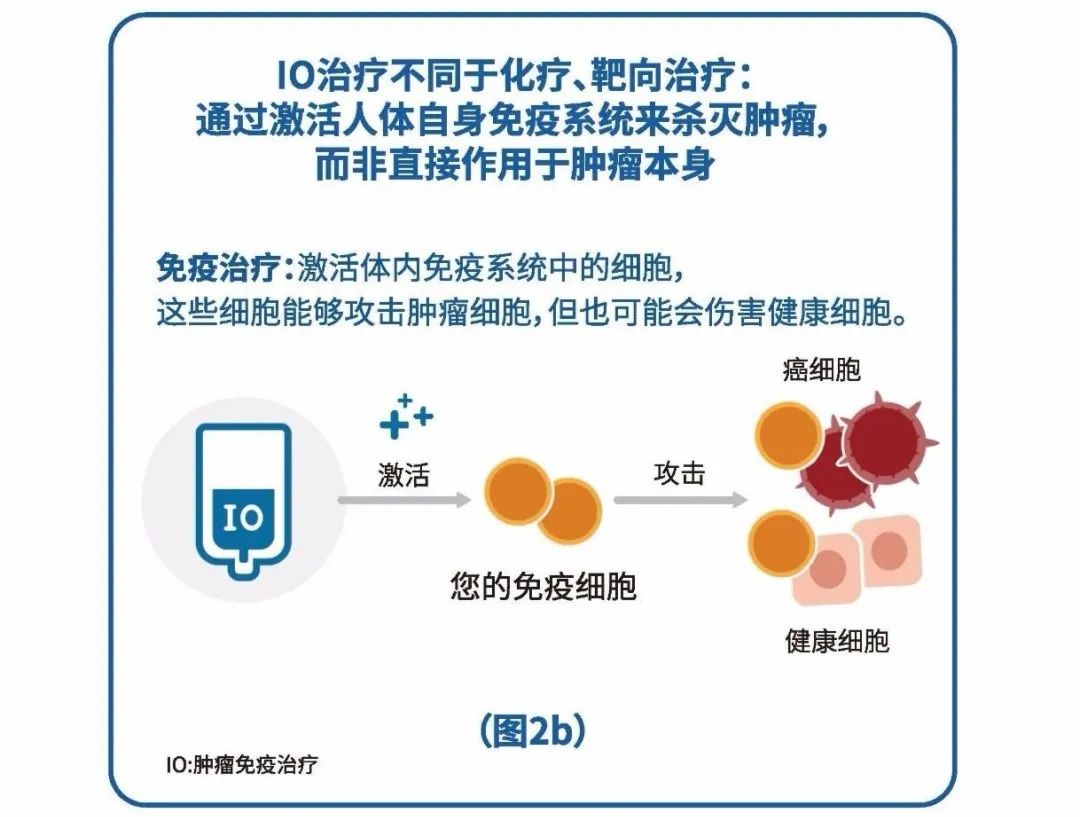 免疫治疗和化疗、靶向治疗的区别