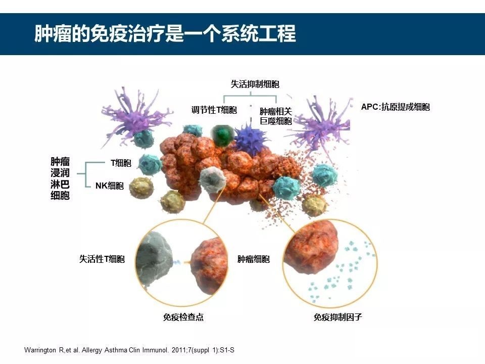 免疫治疗费用一般多少钱,一般免疫治疗要做几次