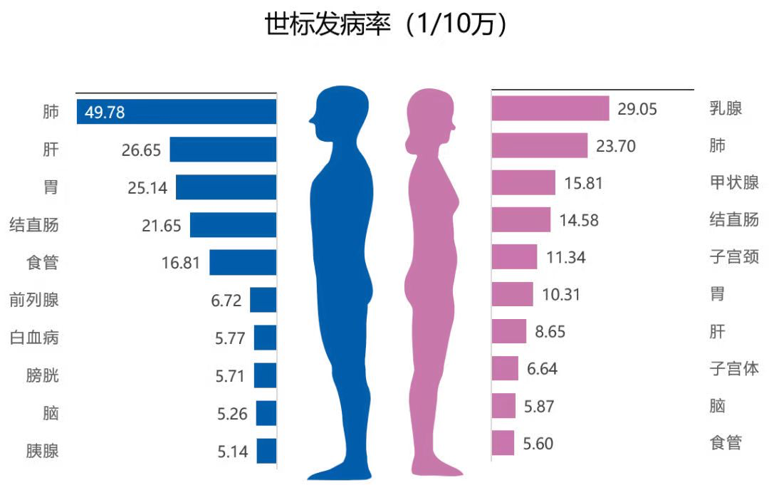 世标肺癌发病率