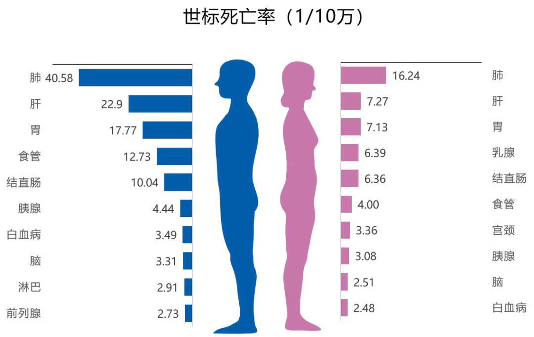 世标肺癌死亡率