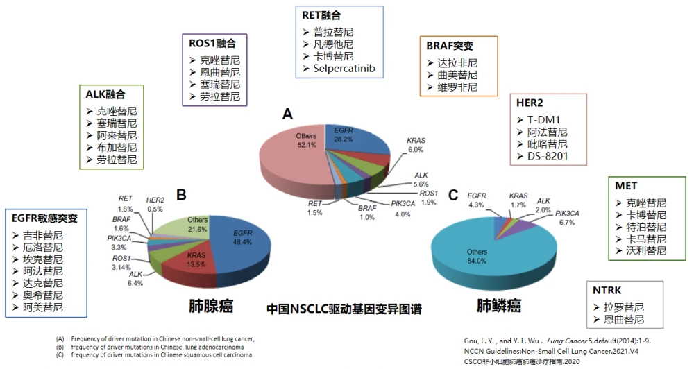 肺癌基因突变和对应的靶向药