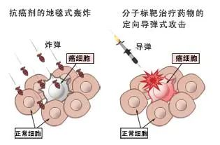 肺癌靶向治疗的原理