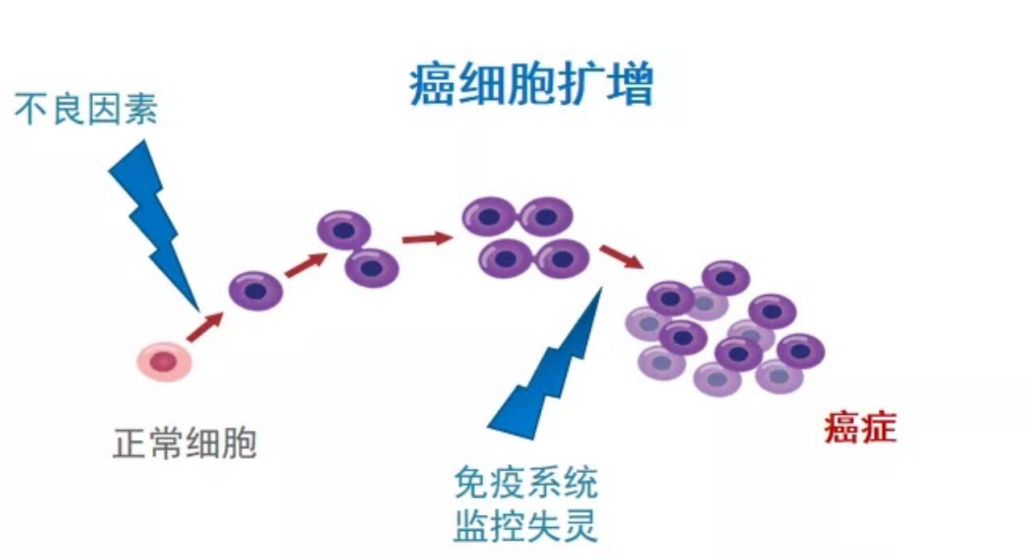 肺癌免疫治疗是什么意思,看完这11个问题你就全都清楚了