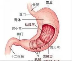 胃癌