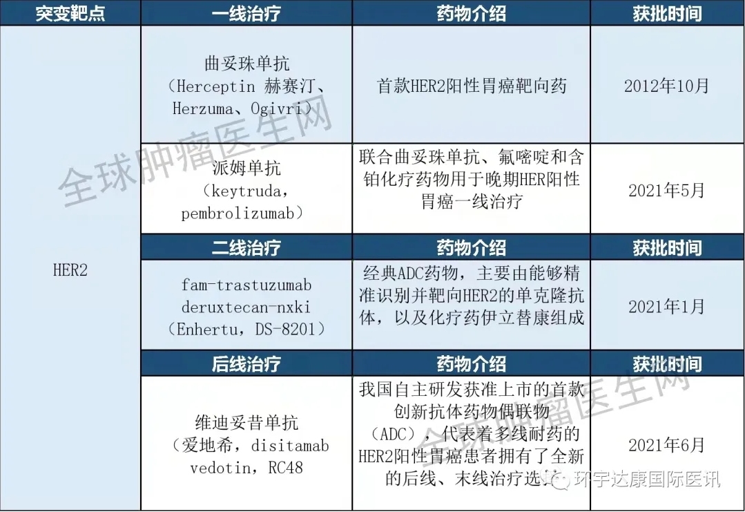 胃癌HER2靶向药